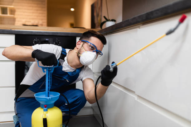 Best Rat Extermination Near Me  in Kingston, IL