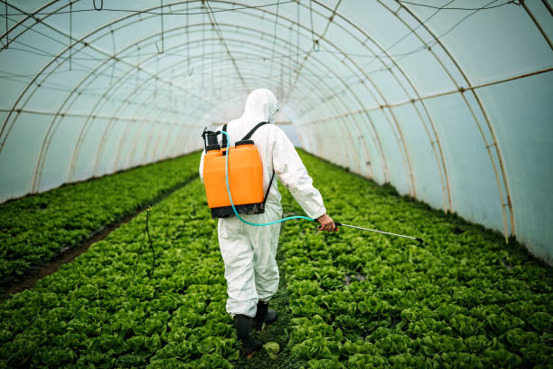 Best Emergency Pest Control  in Kingston, IL