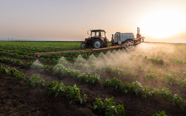 Best Ant Control Services  in Kingston, IL