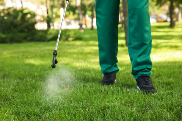 Best Cockroach Control Services  in Kingston, IL