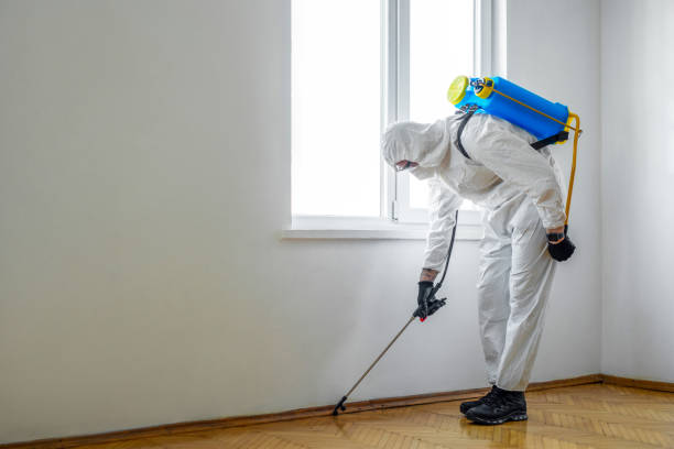 Best Exterminator Services  in Kingston, IL