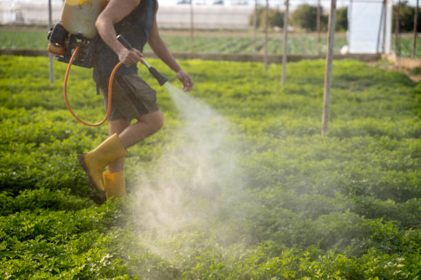 Best Insect Control  in Kingston, IL
