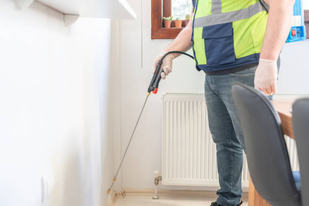 Best Pest Control for Homes  in Kingston, IL