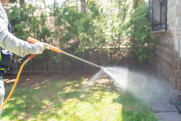 Best Termite Control Services  in Kingston, IL