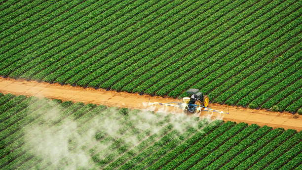 Best Pest Removal Services  in Kingston, IL