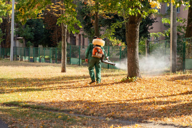 Best Spider Control Near Me  in Kingston, IL