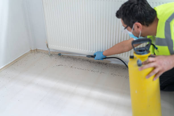 Best Ant Control Services  in Kingston, IL